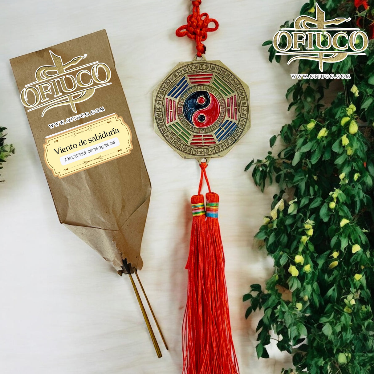 Bagua Sagrado Feng Shui-Ofiuco