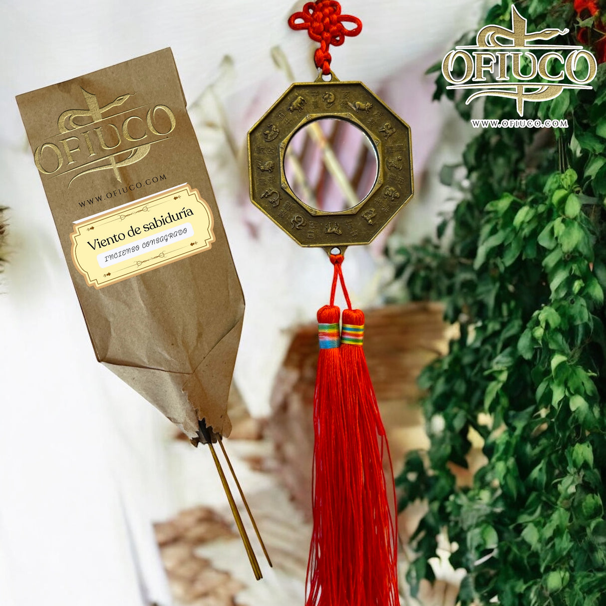 Bagua Sagrado Feng Shui-Ofiuco