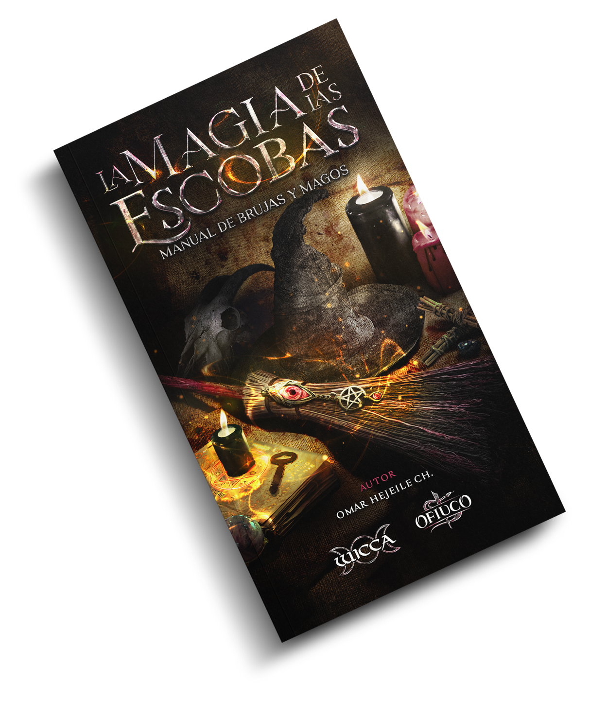 Libro La Magia de las Escobas - Manual de Brujas y Magos.