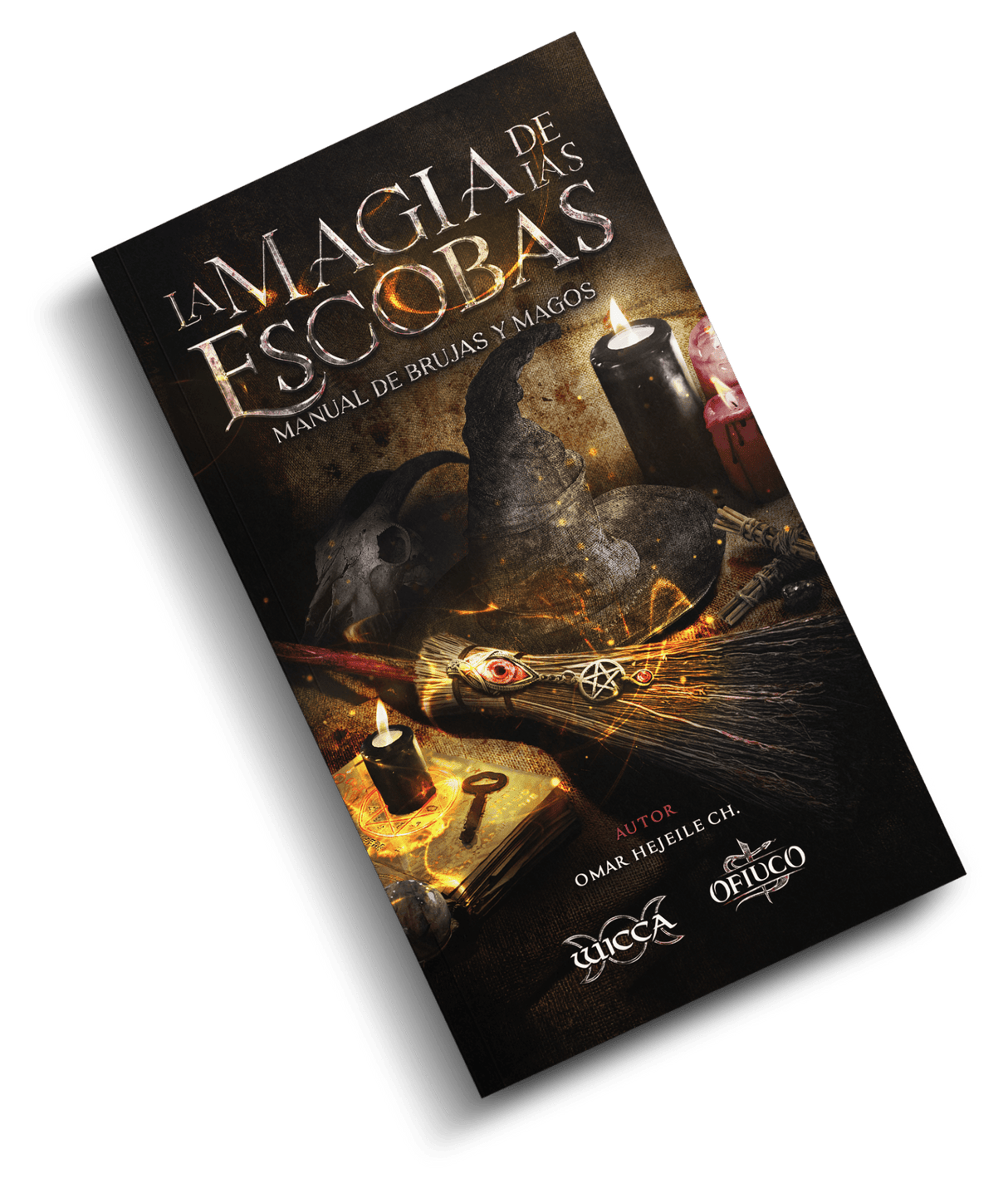 Libro La Magia de las Escobas - Manual de Brujas y Magos.