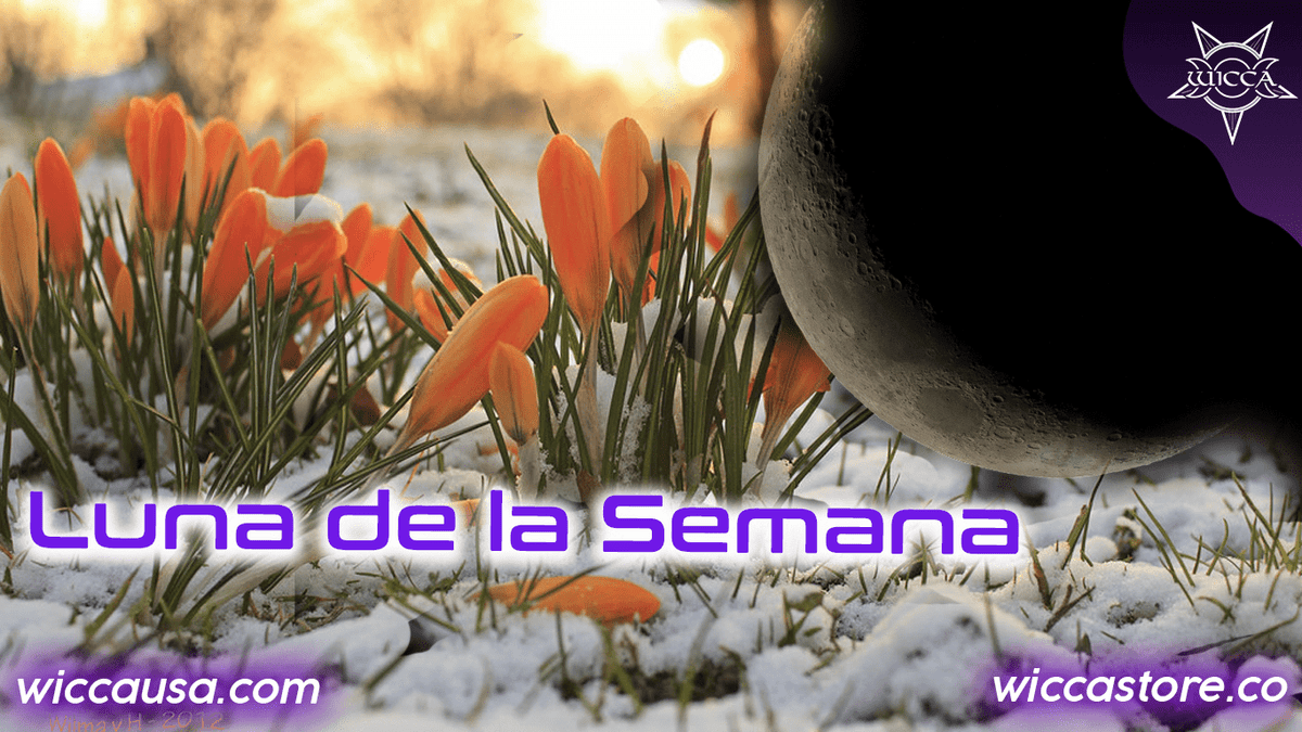 El inicio de la primavera, el deshielo trae la primeras flores