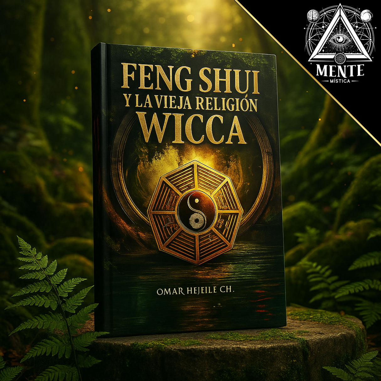 Libro Feng Shui y la Vieja Religión Wicca, energias del aborto